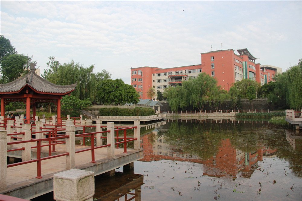 版权所有